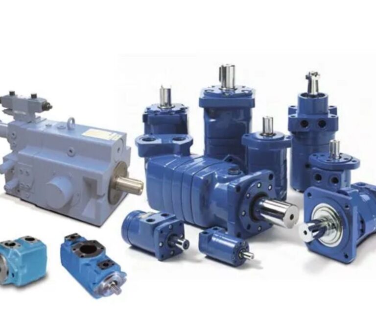 PHOTO 2025 03 12 13 51 32 2 768x653