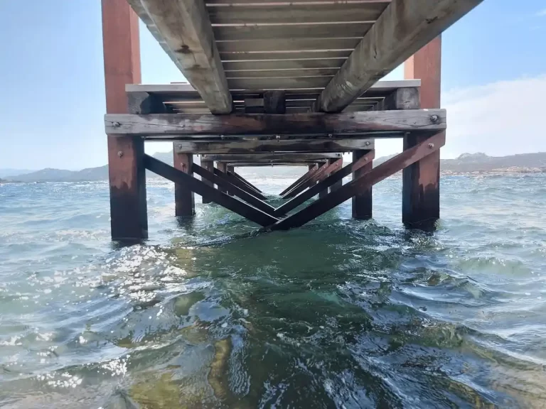 PHOTO 2025 05 05 22 42 52 2 768x576